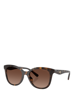 Coach HC8419 Women's Polarised D-Frame Sunglasses, Havana/Brown Gradient, Havana/Brown Gradient