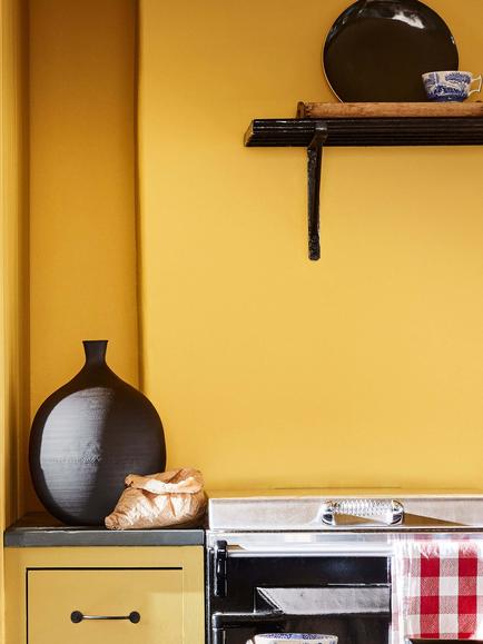 The Little Greene Paint Company Absolute Matt Emulsion, Yellows, Giallo