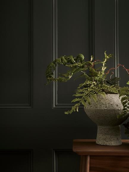 The Little Greene Paint Company Absolute Matt Emulsion, Dark Greys, Pompeian Ash
