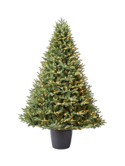 John Lewis Sloane Potted Pre-Lit Christmas Tree, Green, 7ft, Green