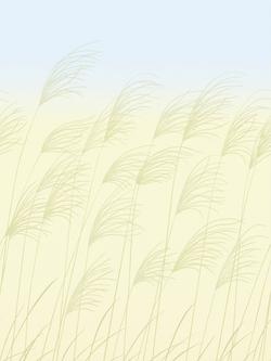 Harlequin Miscanthus Wallpaper Panel Set, Buttermilk/Sky