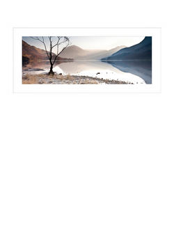 John Lewis James Bell 'Buttermere Tree' Framed Print & Mount, 49.5 x 104.5cm, Blue, Blue