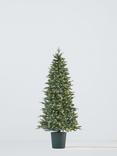 John Lewis Bala Blue Potted Pre-lit Christmas Tree, 7ft