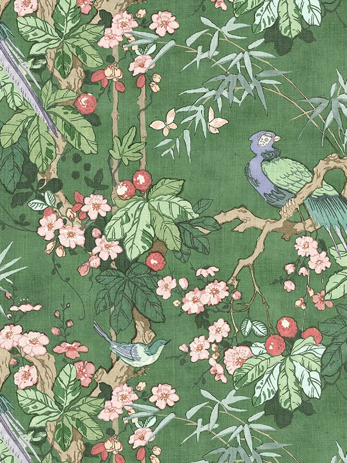 Belleville Juniper With Pine Velvet Trim 