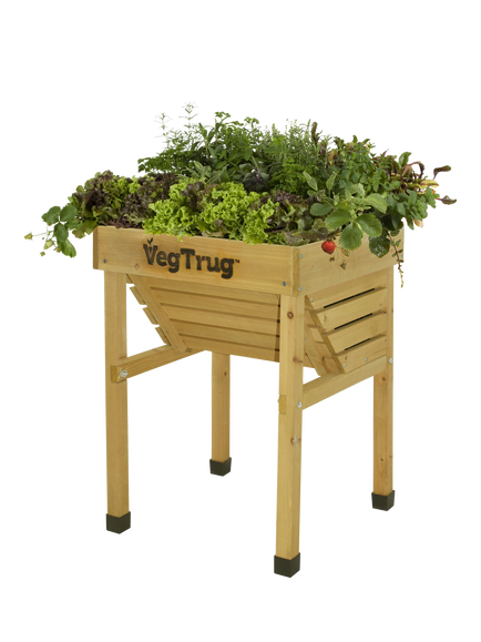 VegTrug Kids' Outdoor Small Planter, 49cm, FSC-Certified (Cedar Wood), Natural, Natural