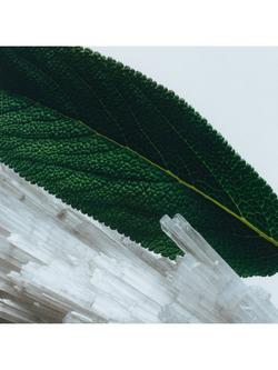 Jo Malone London Wood Sage & Sea Salt Diffuser Refill, 165ml - view 2, 