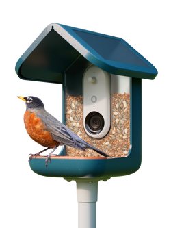 Bird Buddy PRO Camera Bird Feeder, Blue, Blue