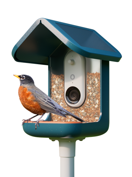 Bird Buddy PRO Camera Bird Feeder, Blue, Blue