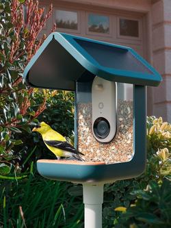 Bird Buddy PRO Camera Bird Feeder, Blue - view 2, Blue