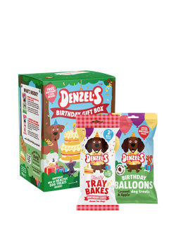 Denzel's Dog Treats Birthday Box, Multi