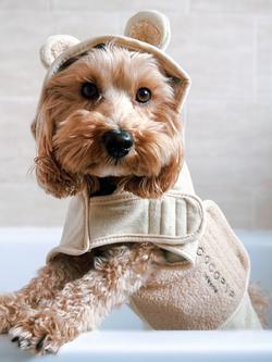 Cocopup Teddy Dog Drying Robe, Multi, Small - view 2, Multi