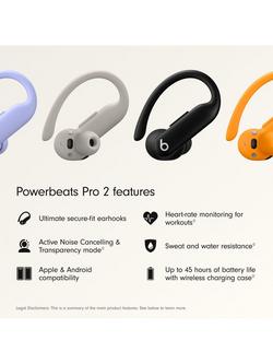 Powerbeats Pro 2 True Wireless Bluetooth In-Ear Sport Headphones with Mic/Remote - view 2, Black
