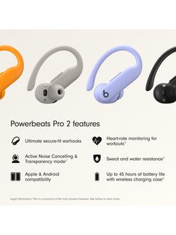 Powerbeats Pro 2 True Wireless Bluetooth In-Ear Sport Headphones with Mic/Remote - view 2, Purple