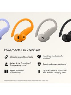 Powerbeats Pro 2 True Wireless Bluetooth In-Ear Sport Headphones with Mic/Remote - view 2, Sand