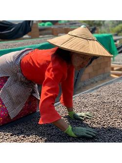 beanz Notes Blackwall Estate Espresso Whole Bean Coffee, 250g - view 2, Black