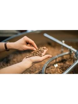 beanz Workshop Coffee Pillar Whole Bean Coffee, 250g - view 2, Black