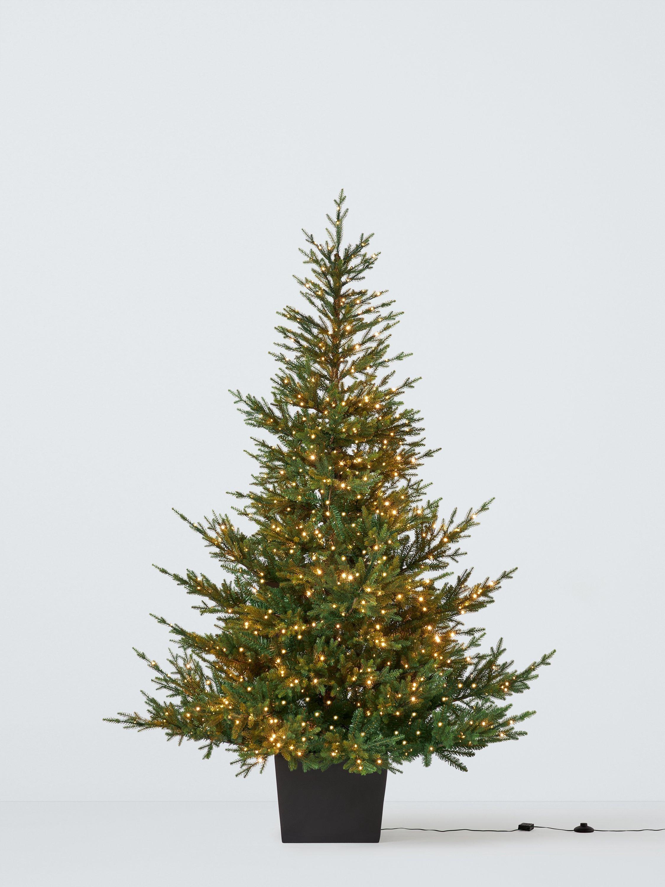 John Lewis Cotswold Potted Pre-lit Christmas Tree, 7ft