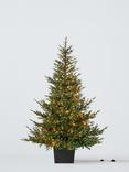 John Lewis Cotswold Potted Pre-lit Christmas Tree