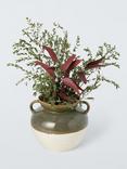 John Lewis Reactive Glaze Earthenware Urn with Handles, H21cm, Green/White