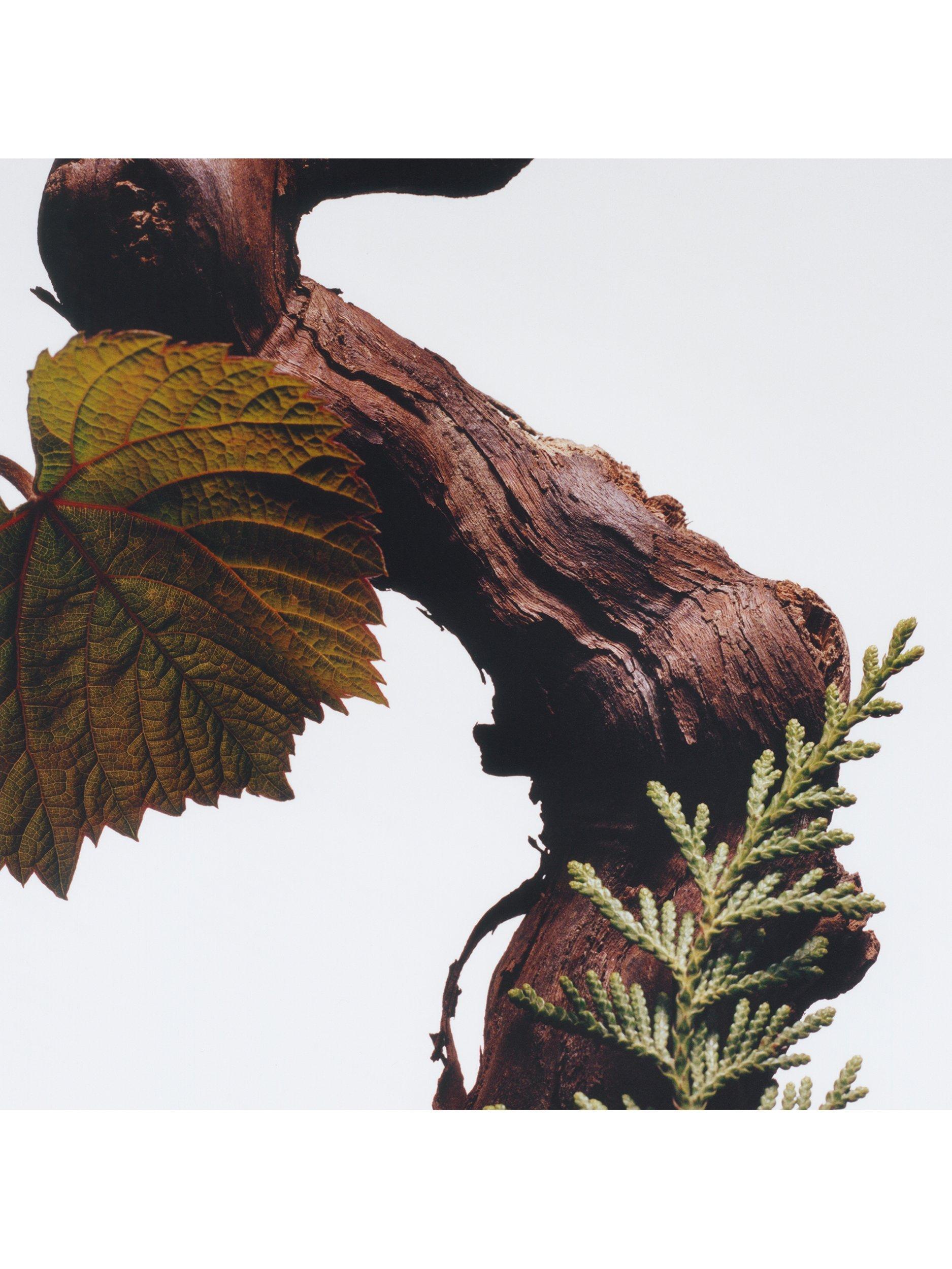 Product image 4 of 5, which shows Jo Malone London Cypress & Grapevine All Over Body Spray, 125ml