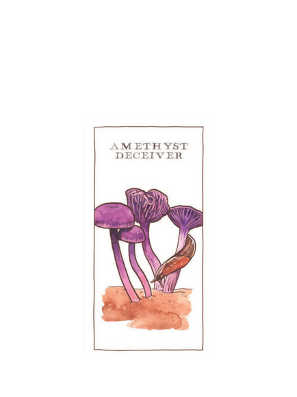 Chronicle Books Mushroom Spotters Deck - view 2, Multi