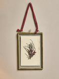 nkuku Kiko Portrait Photo Frame, Antique Brass
