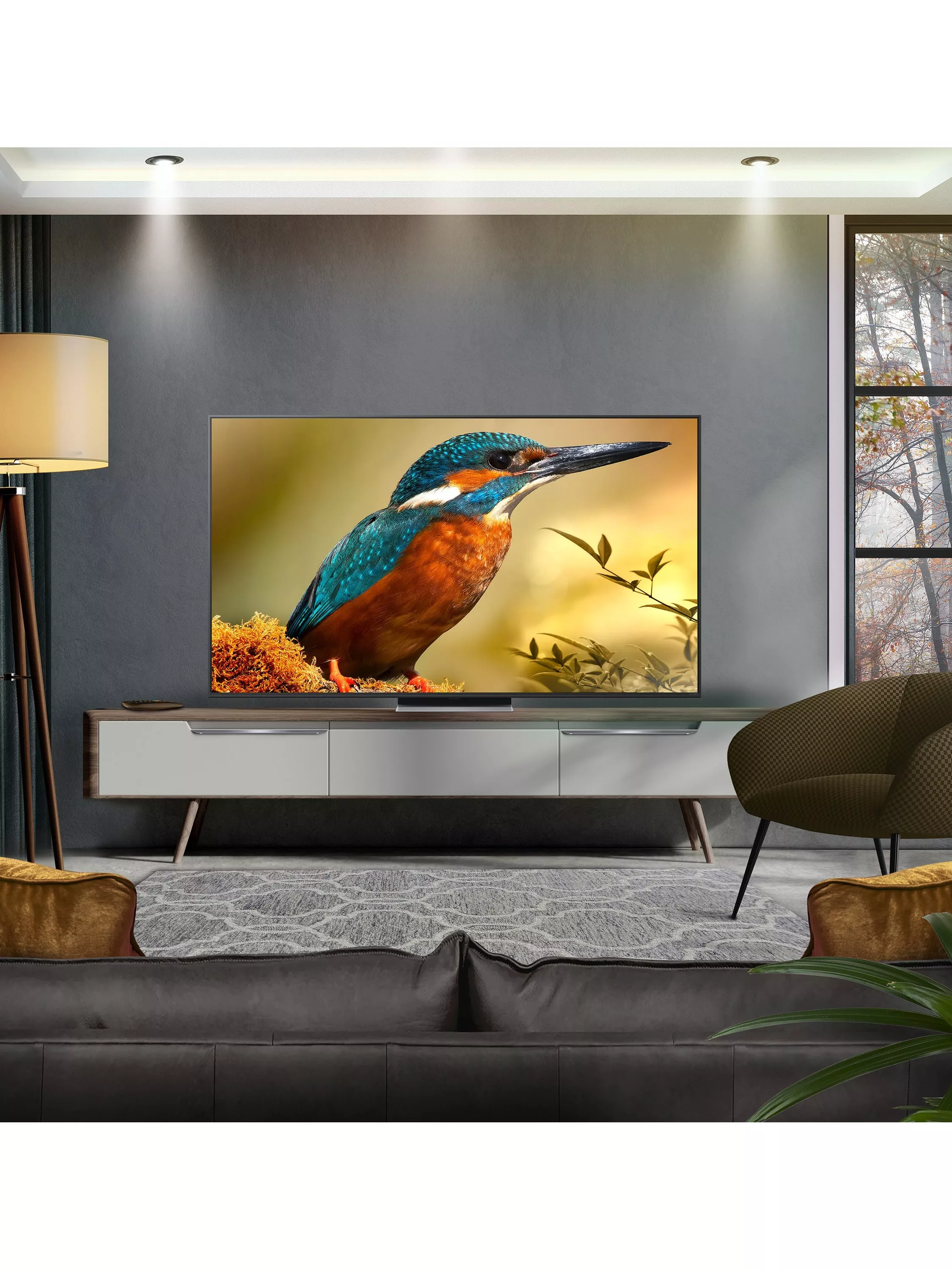 Modern living room with large flat-screen TV showing close-up kingfisher wildlife photo on a grey media unit.