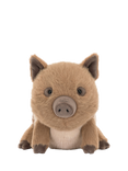 Jellycat Amuseables Swinley Boar Soft Toy
