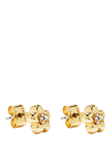 Gold Stud