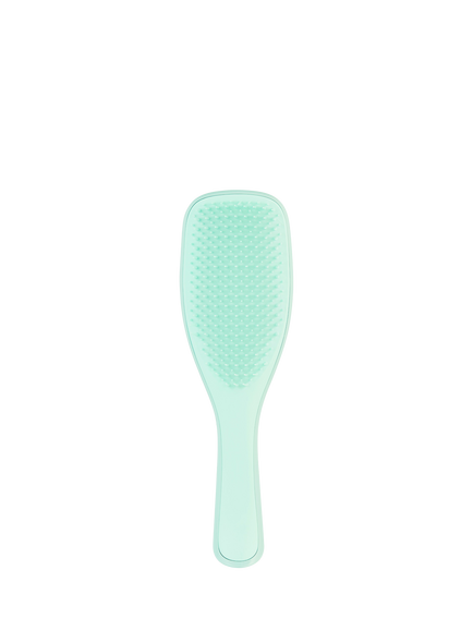 Tangle Teezer Fine & Fragile Ultimate Detangler Hair Brush, Jade Lagoon, 