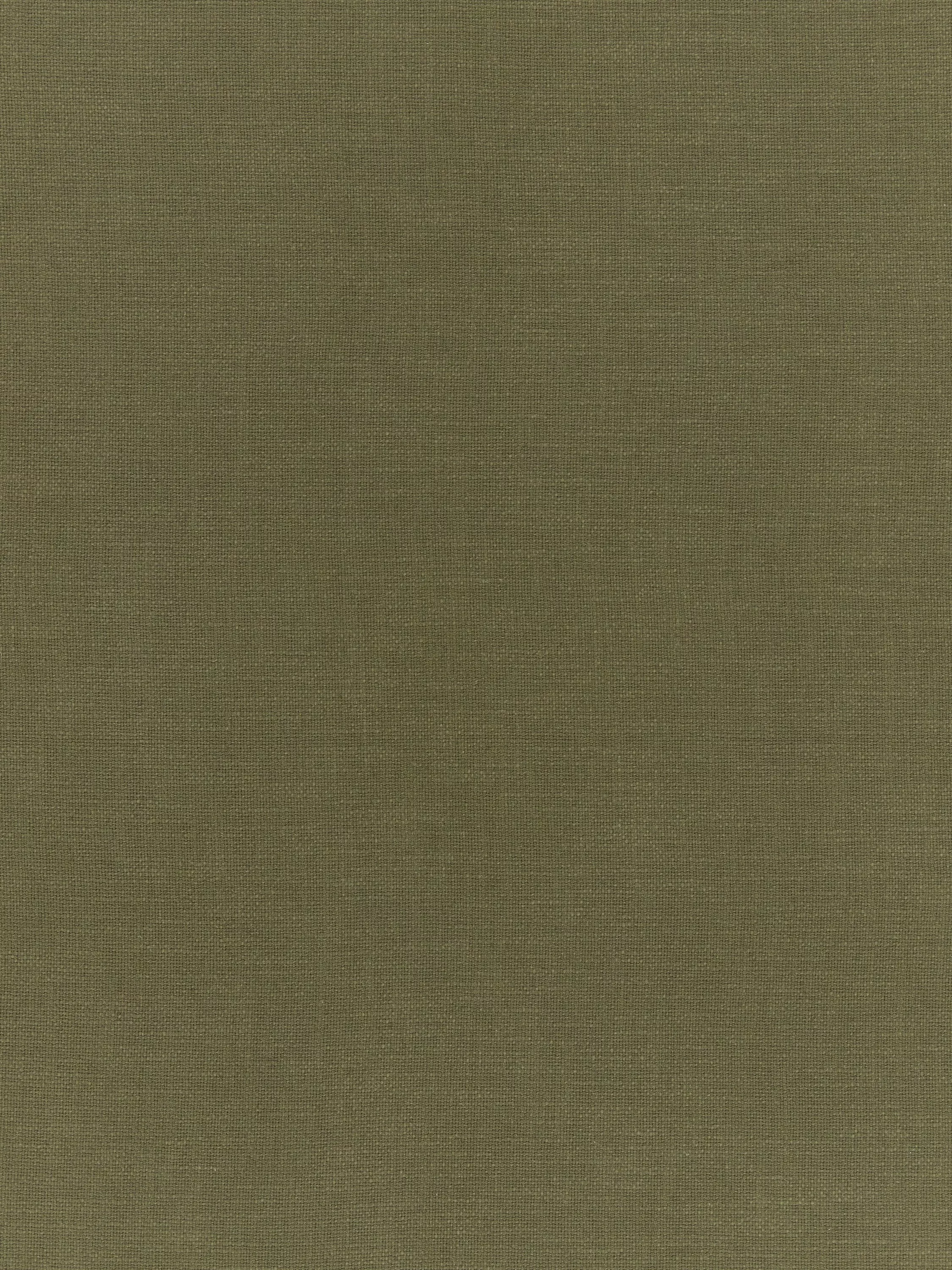 Avocado  - Out of stock