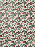 John Lewis Robin Wrapping Paper Kit, L6m