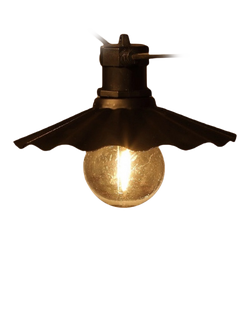 NOMA 6 LED Connecting Scallop Festoon Lights, Black, Black Black