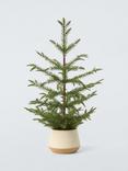 John Lewis Christmas Tree in Ceramic Pot, H61cm
