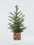 John Lewis Battery Operated Pre-Lit LED Christmas Tree in Painted Ceramic Pot, H61cm