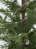 John Lewis Battery Operated Pre-Lit LED Christmas Tree in Painted Ceramic Pot, H61cm