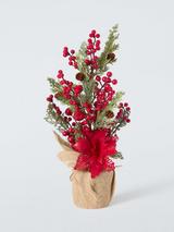 John Lewis Red Berry Tree in Pot, H48cm