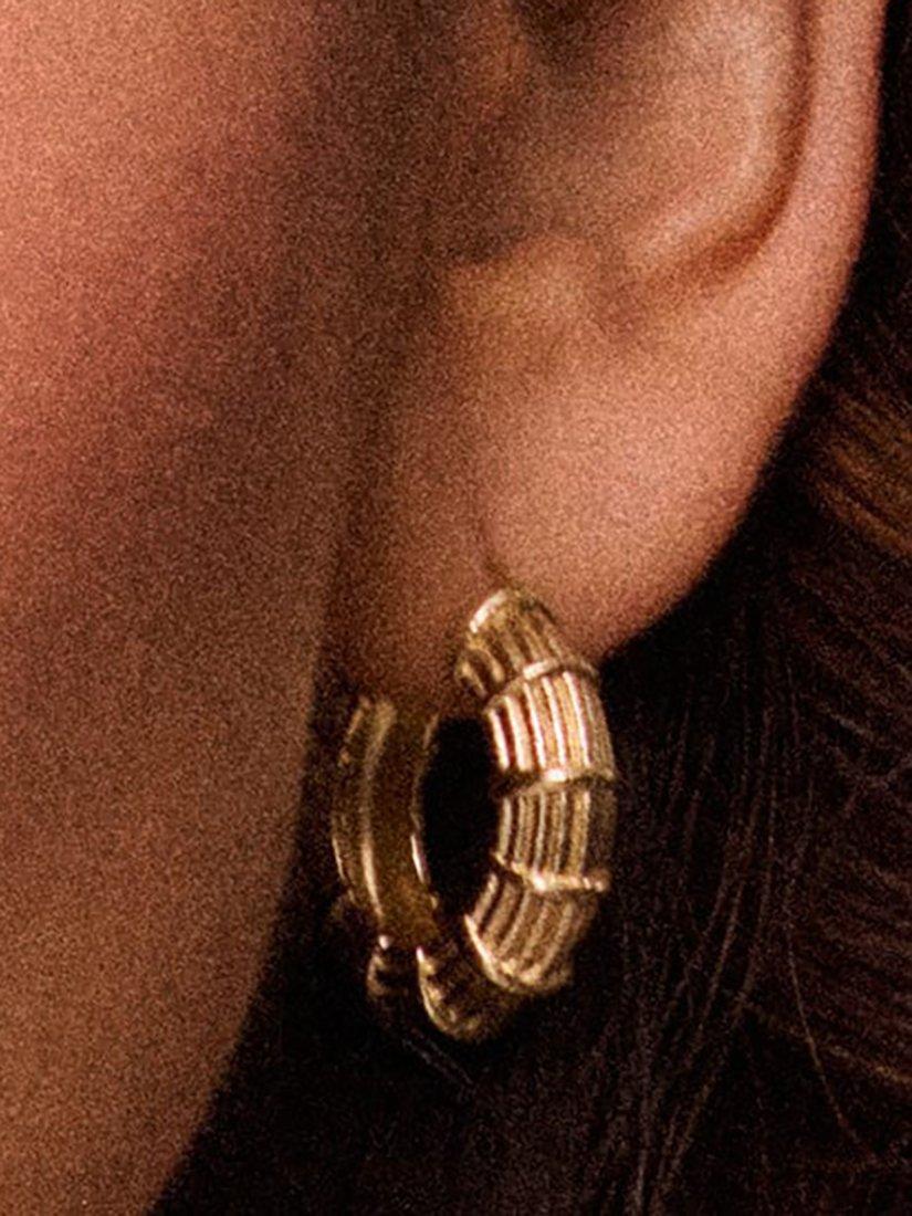 Product image 3 of 5, which shows Daisy London Apollo Textured Hoop Earrings, Gold