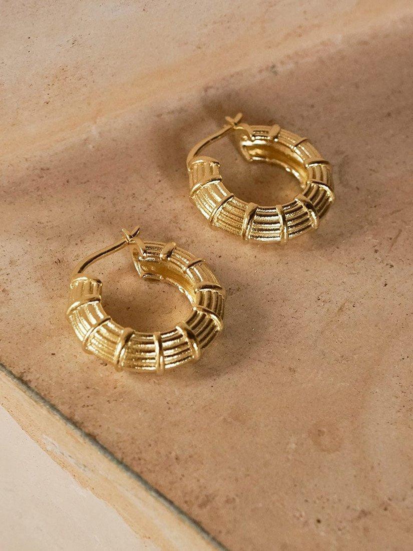 Product image 5 of 5, which shows Daisy London Apollo Textured Hoop Earrings, Gold