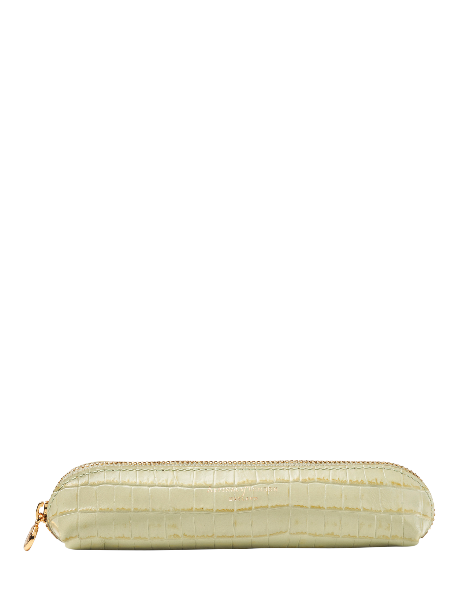 Aspinal of London Slim Leather Small Pencil Case, Pistachio Croc