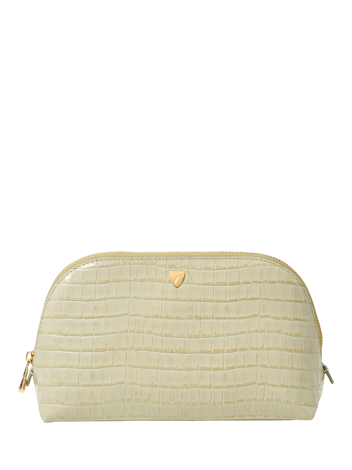Product image 1 of 4, which shows Aspinal of London Leather Classic Makeup Case, Pistachio