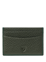 Green Leather