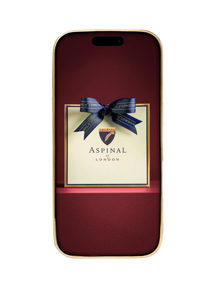 Aspinal of London iPhone 16 Pro Leather Case, Tan - view 2, Tan