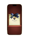 Aspinal of London iPhone 16 Pro Max Leather Case, Tan