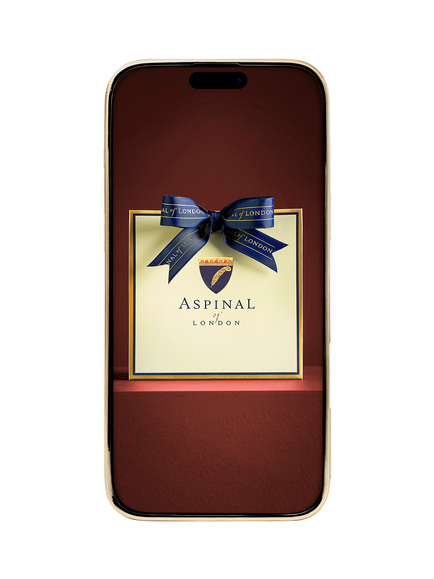 Aspinal of London iPhone 16 Pro Max Leather Case, Tan - view 2, Tan