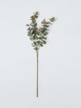 John Lewis Eucalyptus Multi Stem, Green