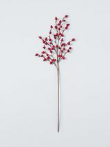 John Lewis Berry Stem, Red