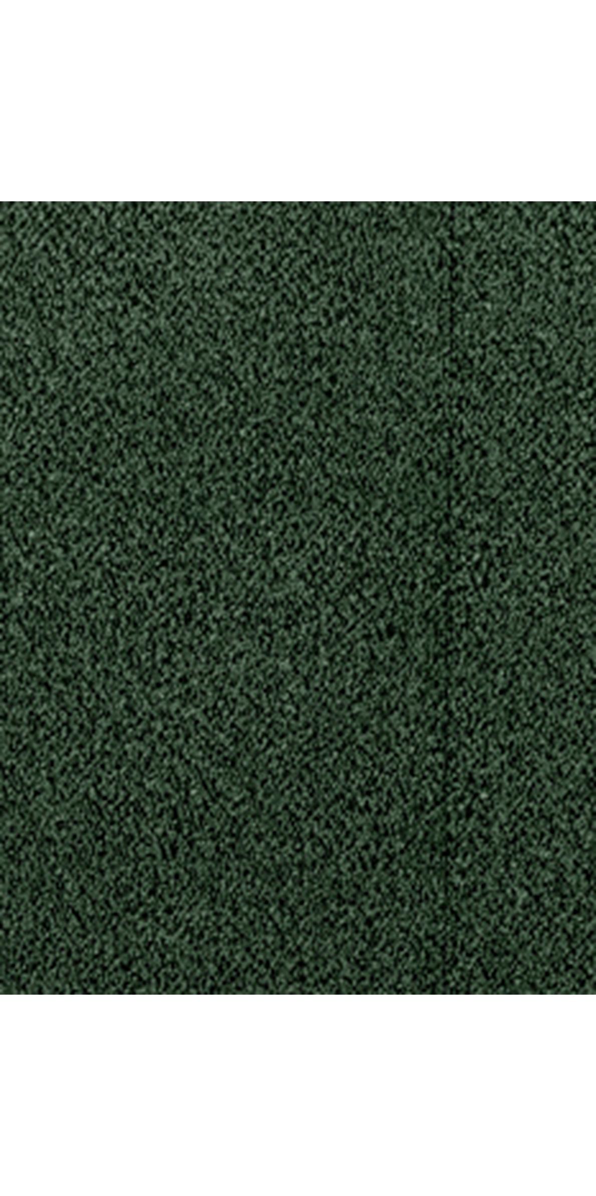 Boucle Fern
