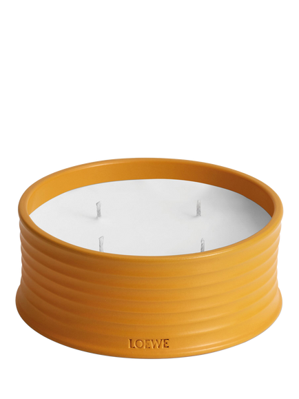LOEWE Ginger Outdoor Candle, 900g, 