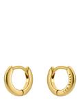 Ted Baker Crisete 10mm Logo Hoop Earrings, Gold